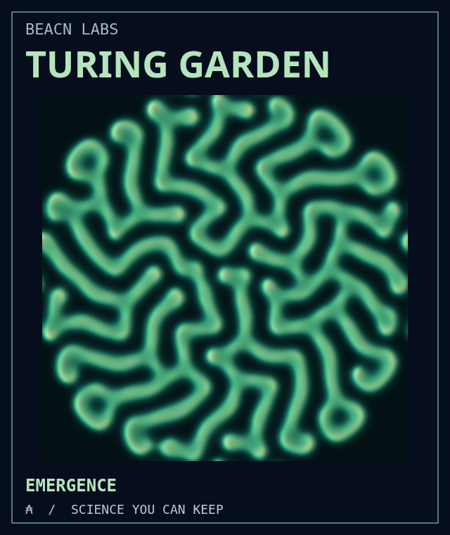 Turing Garden gallery illustration